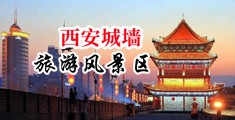 骚妇的骚逼中国陕西-西安城墙旅游风景区